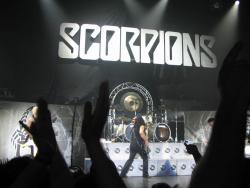 Scorpions